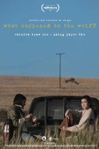 Movie poster for What Happened to the Wolf?