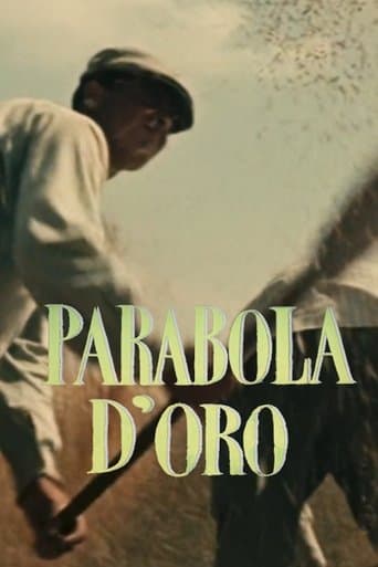Movie poster for Golden Parable