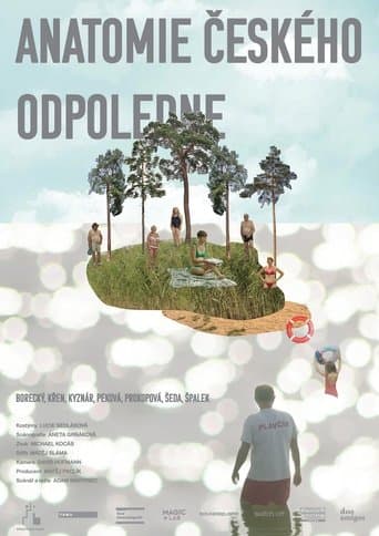 Movie poster for Anatomy of a Czech Afternoon