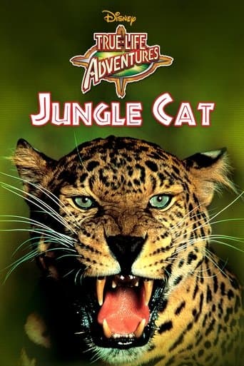 Movie poster for Jungle Cat