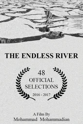 Movie poster for The Endless River