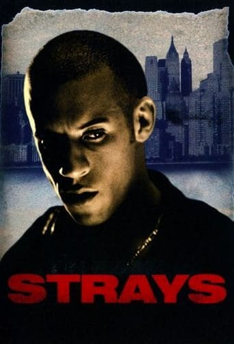Movie poster for Strays