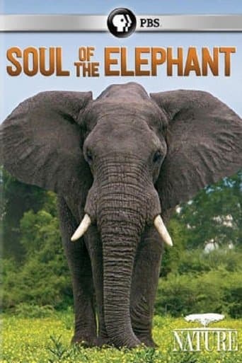 Movie poster for Soul of the Elephant