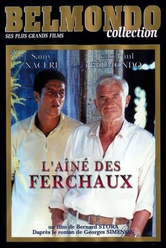 Movie poster for L'Aîné des Ferchaux