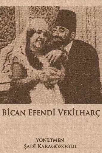 Movie poster for Custodian Bican