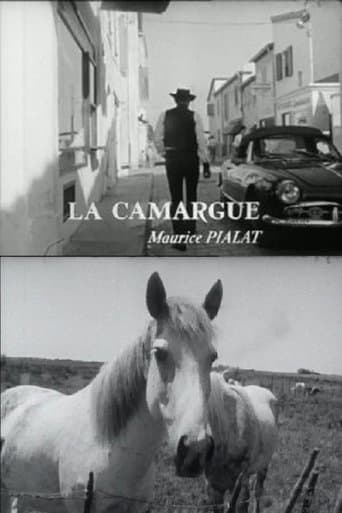 Movie poster for La Camargue