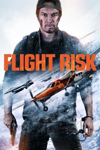 Movie poster for Flight Risk