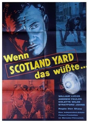 Movie poster for The Professionals