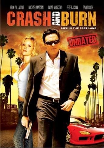 Movie poster for Crash and Burn