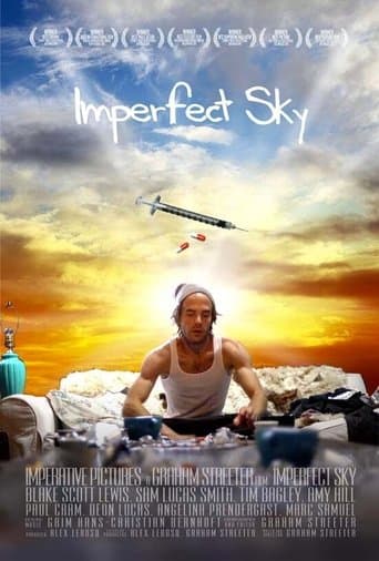 Movie poster for Imperfect Sky