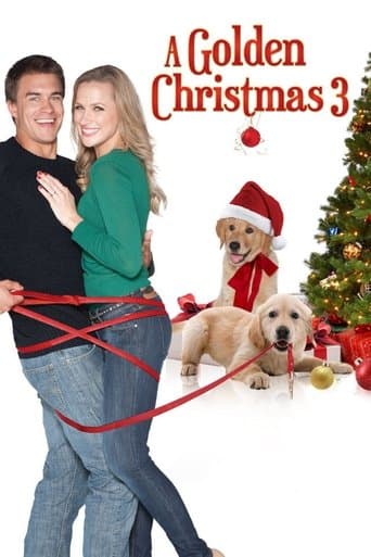 Movie poster for A Golden Christmas 3