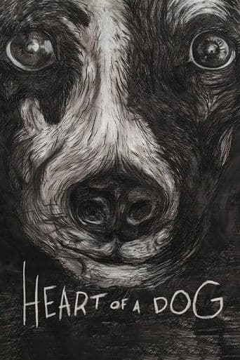 Movie poster for Heart of a Dog