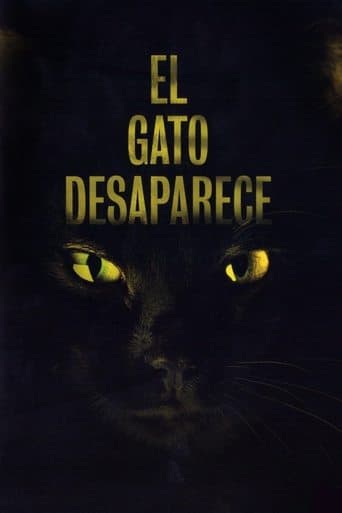 Movie poster for The Cat Vanishes