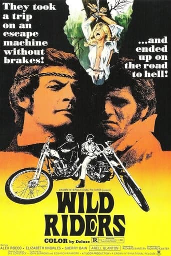 Movie poster for Wild Riders