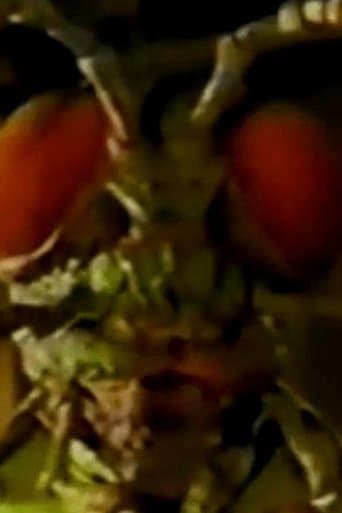 Movie poster for Ghosts Of Fear Street - Return Of The Bugman
