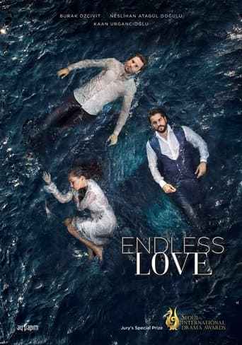 Movie poster for Endless Love