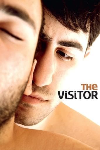 Movie poster for The Visitor