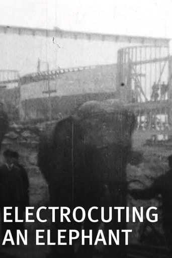 Movie poster for Electrocuting an Elephant