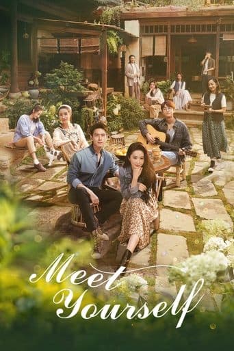 Movie poster for Meet Yourself