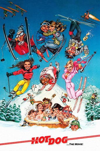 Movie poster for Hot Dog... The Movie