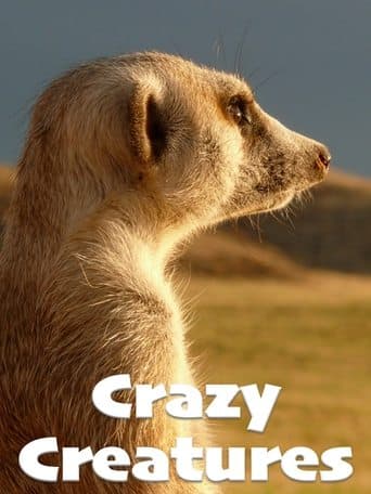 Movie poster for Crazy Creatures