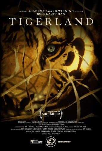 Movie poster for Tigerland