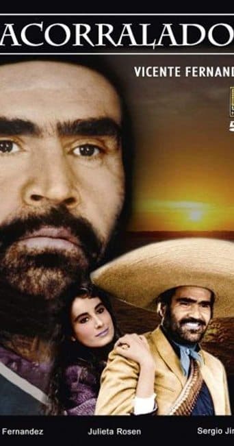 Movie poster for Acorralado