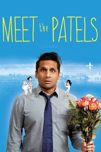 Movie poster for Meet the Patels