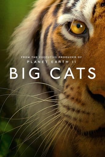 Movie poster for Big Cats
