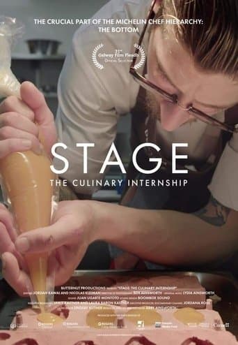 Movie poster for Stage: The Culinary Internship