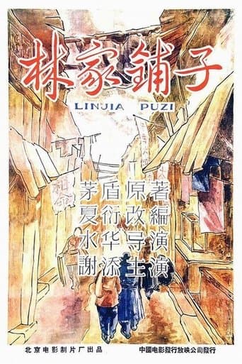 Movie poster for The Lin Family Shop