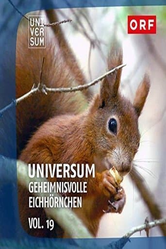 Movie poster for Geheimnisvolle Eichhörnchen