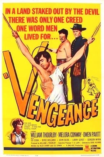 Movie poster for Vengeance