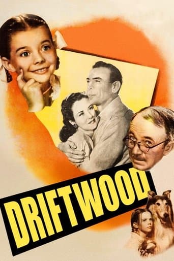 Movie poster for Driftwood