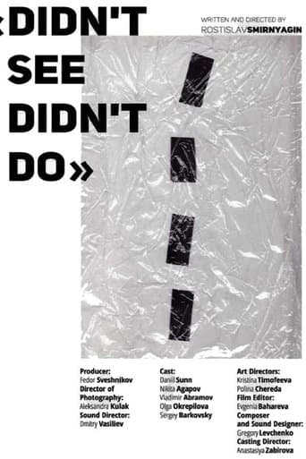 Movie poster for Didn't See Didn't Do