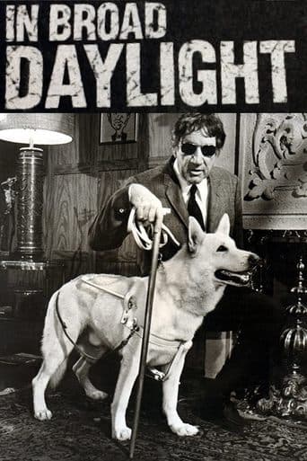 Movie poster for In Broad Daylight