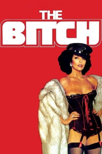 Movie poster for The Bitch