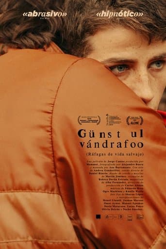 Movie poster for Gusts of Wild Life