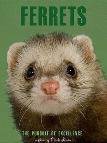 Movie poster for Ferrets