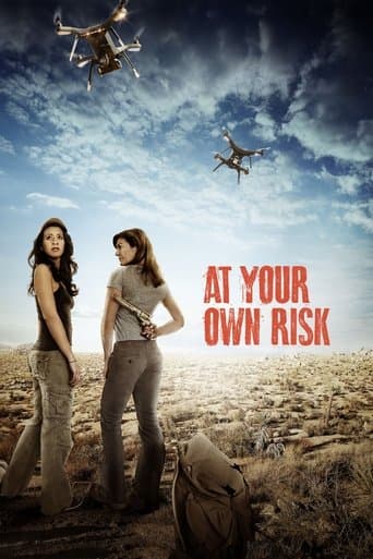 Movie poster for At Your Own Risk