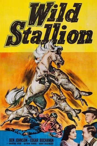 Movie poster for Wild Stallion
