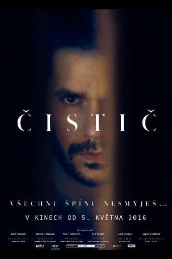 Movie poster for The Cleaner