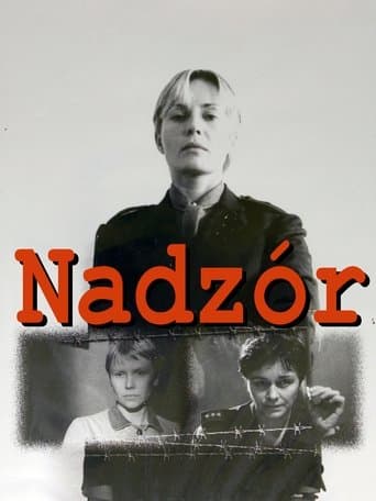 Movie poster for Custody