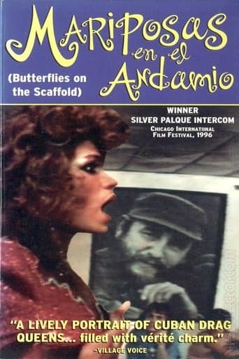 Movie poster for Butterflies on the Scaffold