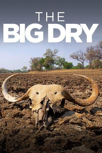 Movie poster for The Big Dry