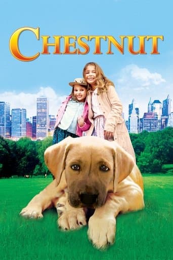Movie poster for Chestnut: Hero of Central Park