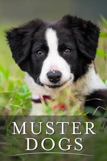 Movie poster for Muster Dogs