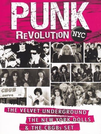 Movie poster for Punk Revolution NYC