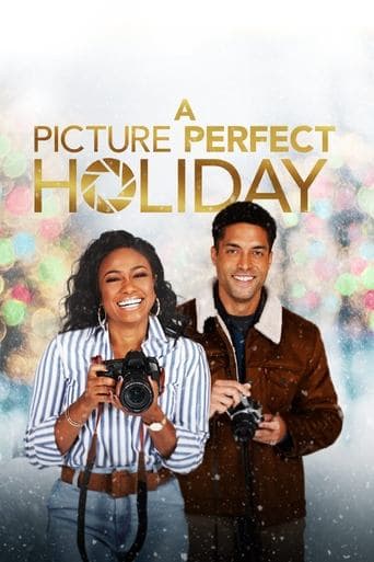 Movie poster for A Picture Perfect Holiday
