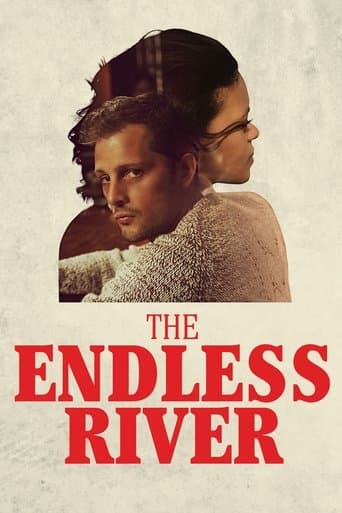 Movie poster for The Endless River